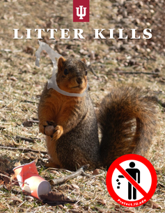 litter-kills-8.5x11